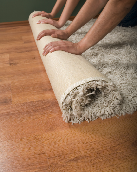 area rug cleaning services babylon