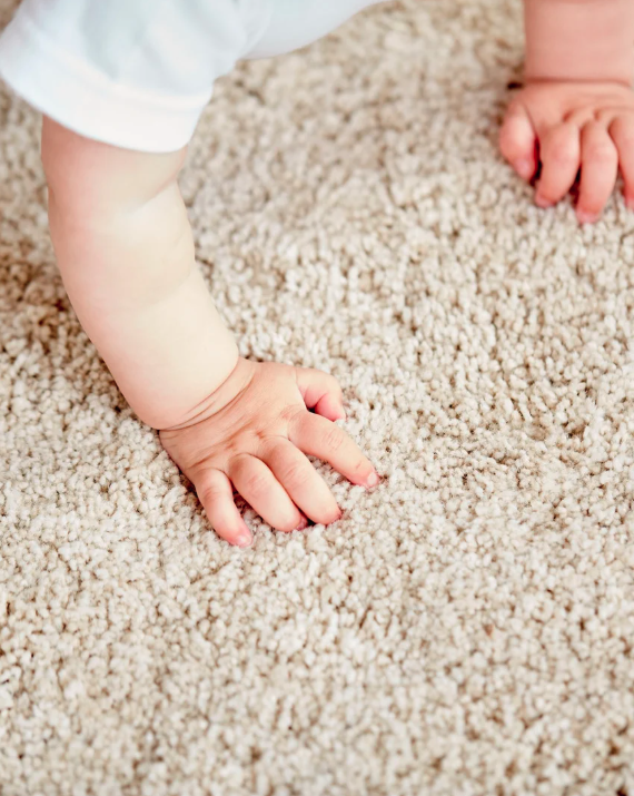 carpet cleaning bay shore