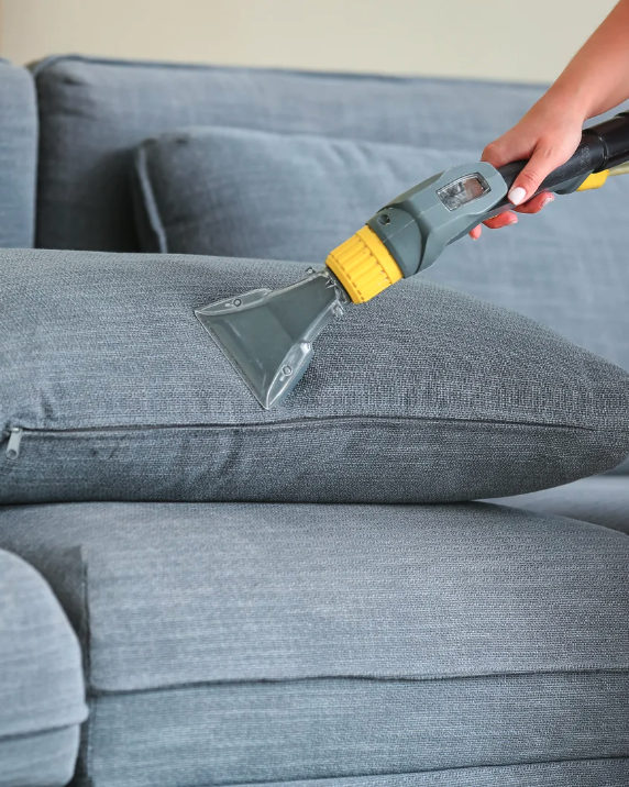 allergen removal couch cleaning bay shore