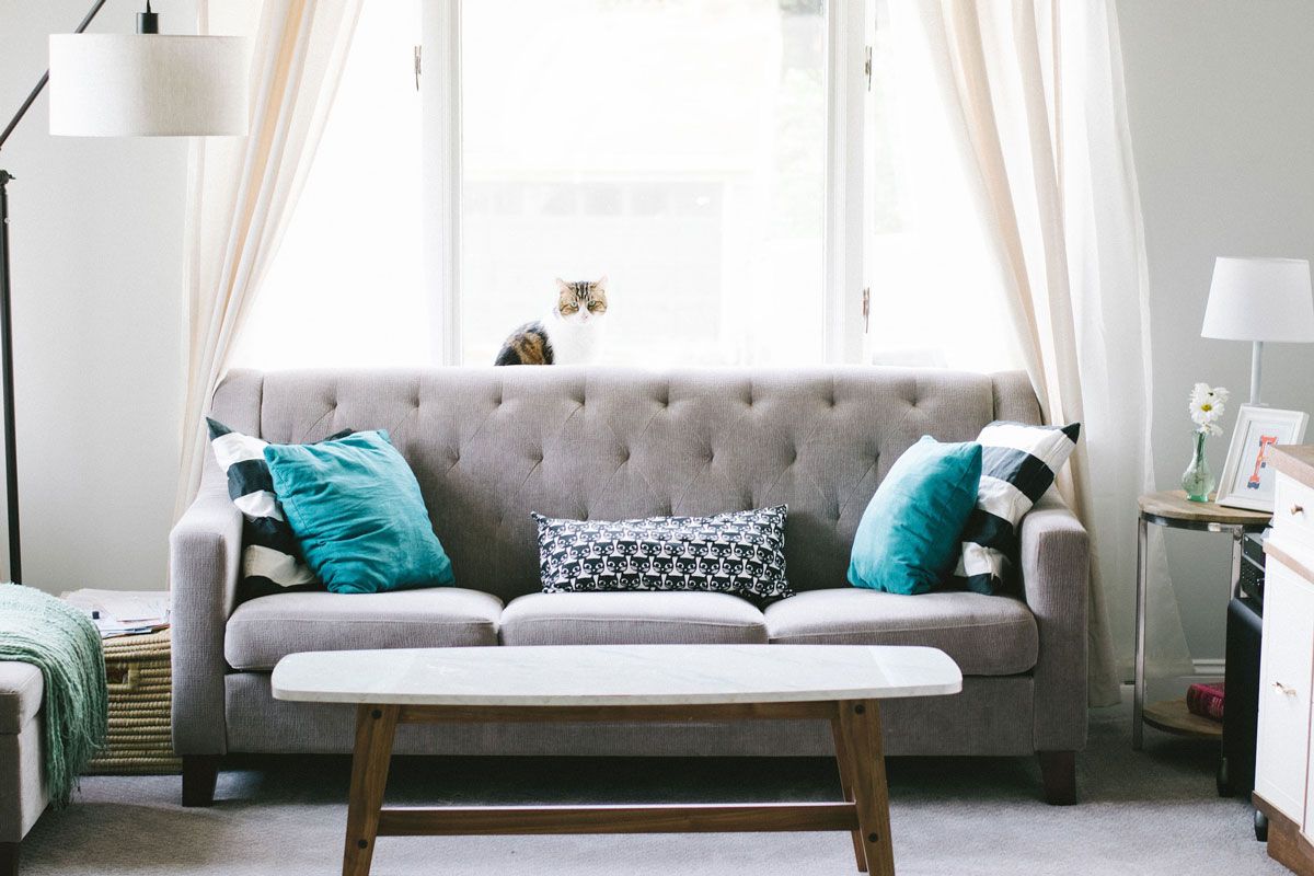 bay shore upholstery cleaning
